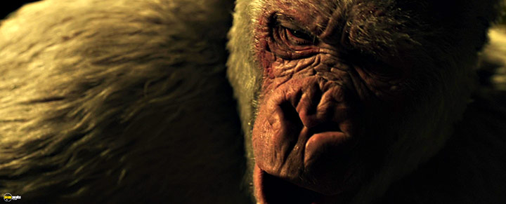 A still #45 from War for the Planet of the Apes (2017)