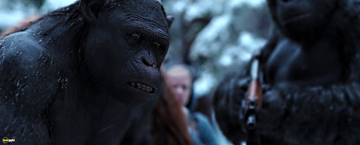 A still #43 from War for the Planet of the Apes (2017)