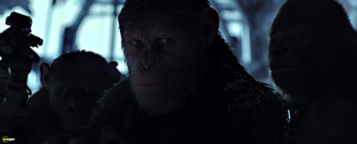 A still #41 from War for the Planet of the Apes (2017)