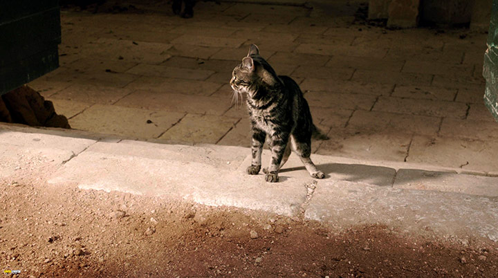 A still #97 from Game of Thrones: Series 1 (2011)