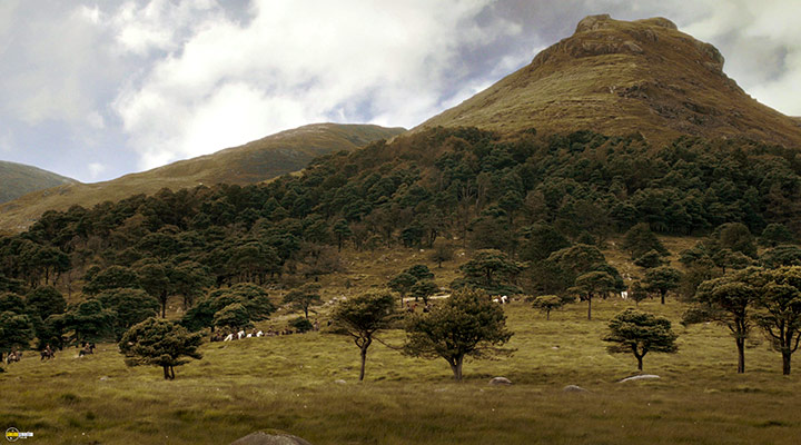 A still #29 from Game of Thrones: Series 1 (2011)