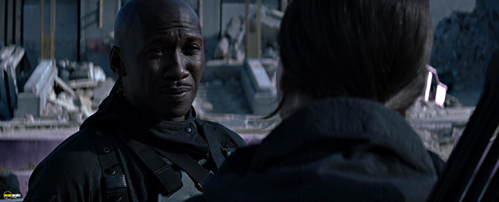 A still #42 from The Hunger Games: Mockingjay: Part 2 (2015)
