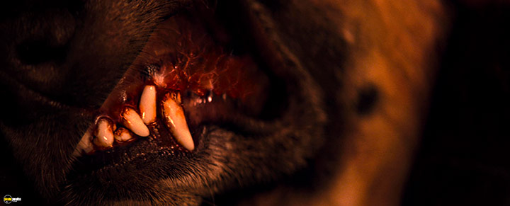 A still #55 from I Am Legend (2007)