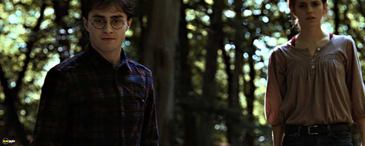 A still #75 from Harry Potter and the Deathly Hallows: Part 1 (2010)