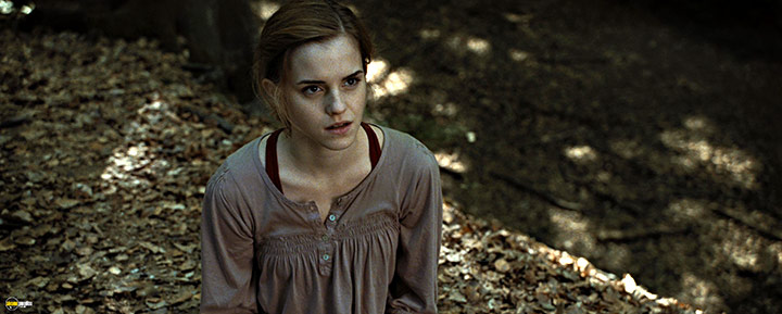 A still #74 from Harry Potter and the Deathly Hallows: Part 1 (2010)