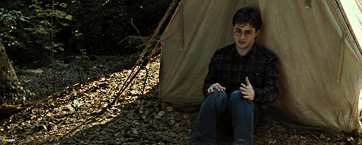 A still #73 from Harry Potter and the Deathly Hallows: Part 1 (2010)