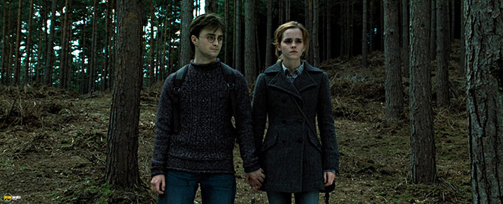 A still #69 from Harry Potter and the Deathly Hallows: Part 1 (2010)