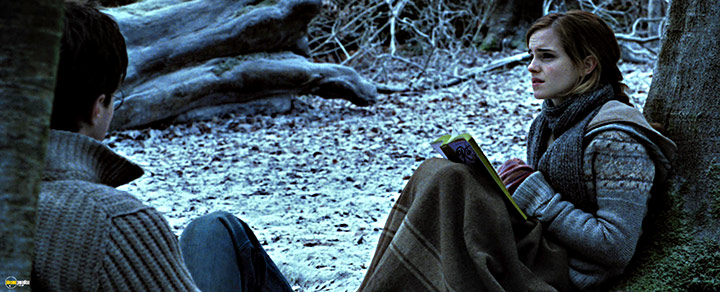 A still #62 from Harry Potter and the Deathly Hallows: Part 1 (2010)
