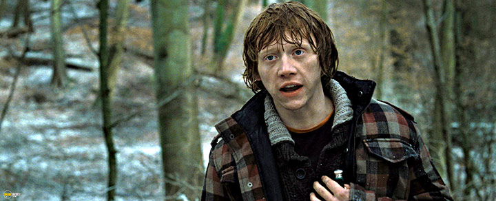 A still #61 from Harry Potter and the Deathly Hallows: Part 1 (2010)