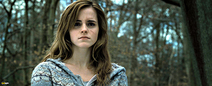 A still #60 from Harry Potter and the Deathly Hallows: Part 1 (2010)