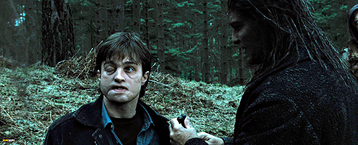 A still #55 from Harry Potter and the Deathly Hallows: Part 1 (2010)