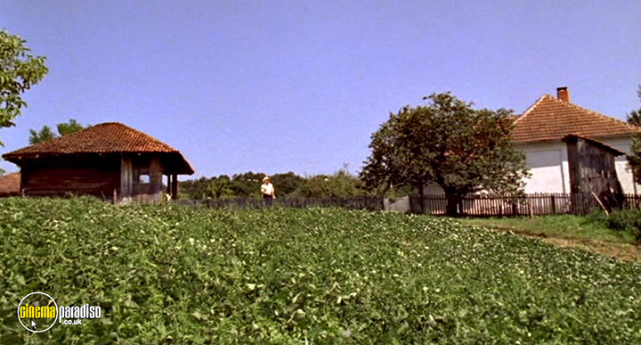 A still #64 from Guca (2006)