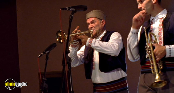 A still #22 from Guca (2006)