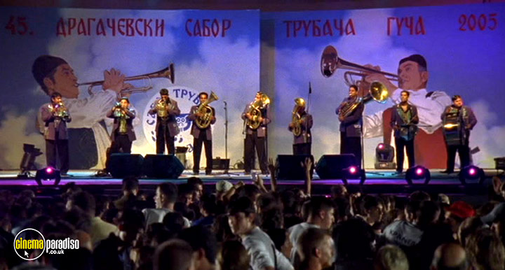 A still #20 from Guca (2006)