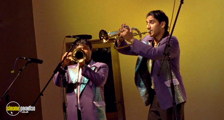 A still #19 from Guca (2006)