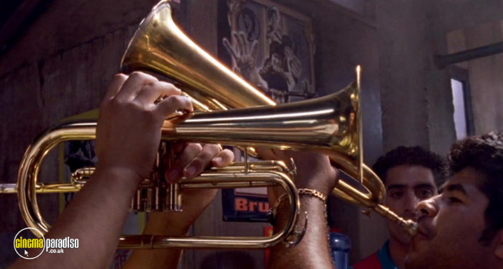 A still #6 from Guca (2006)