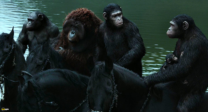 A still #87 from Dawn of the Planet of the Apes (2014)