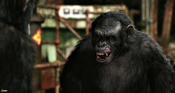 A still #78 from Dawn of the Planet of the Apes (2014)