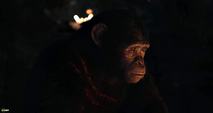 A still #77 from Dawn of the Planet of the Apes (2014)