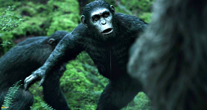 A still #74 from Dawn of the Planet of the Apes (2014)