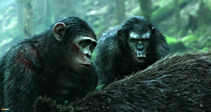 A still #72 from Dawn of the Planet of the Apes (2014)