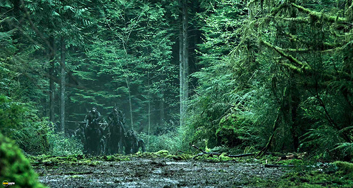 A still #66 from Dawn of the Planet of the Apes (2014)