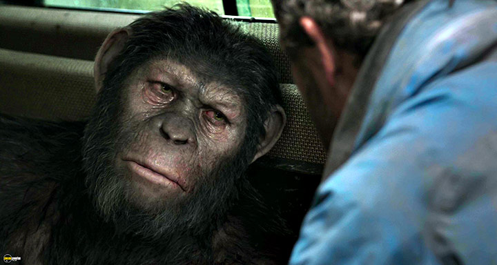 A still #63 from Dawn of the Planet of the Apes (2014)