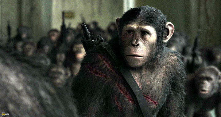 A still #61 from Dawn of the Planet of the Apes (2014)