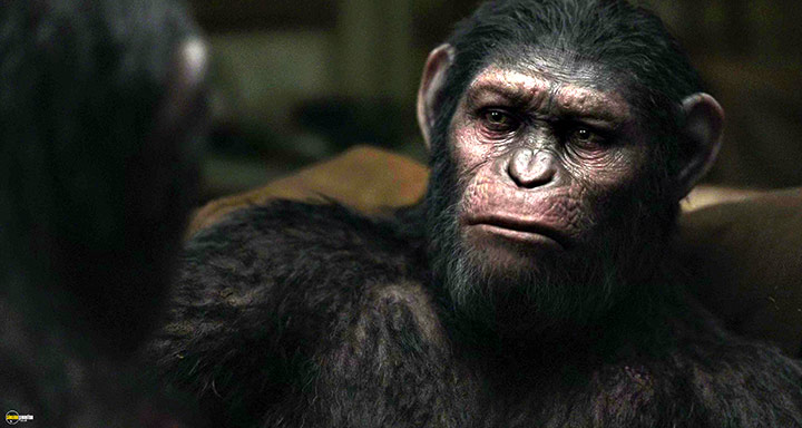 A still #54 from Dawn of the Planet of the Apes (2014)