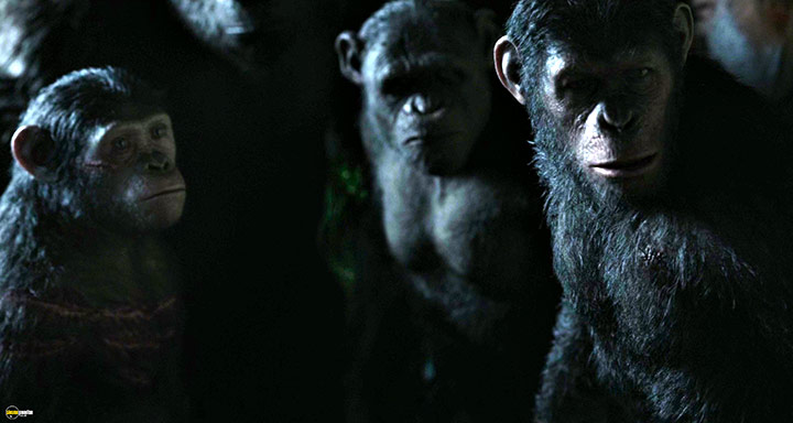 A still #52 from Dawn of the Planet of the Apes (2014)