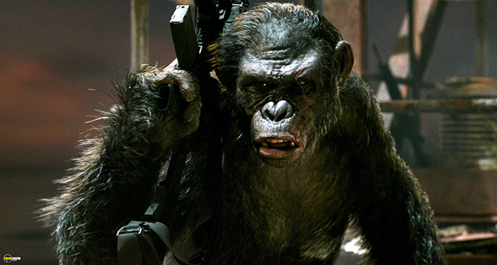 A still #49 from Dawn of the Planet of the Apes (2014)