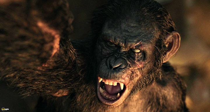 A still #47 from Dawn of the Planet of the Apes (2014)