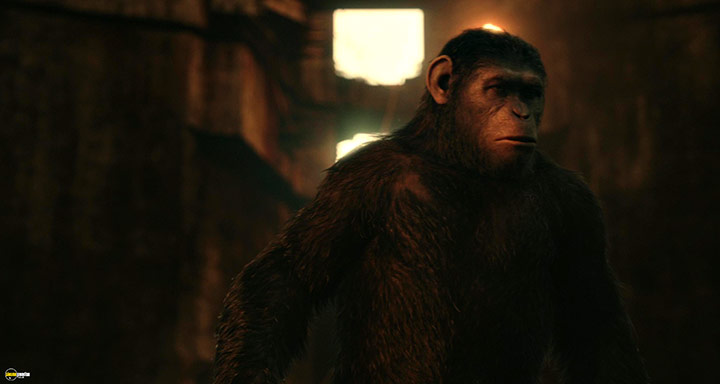 A still #45 from Dawn of the Planet of the Apes (2014)