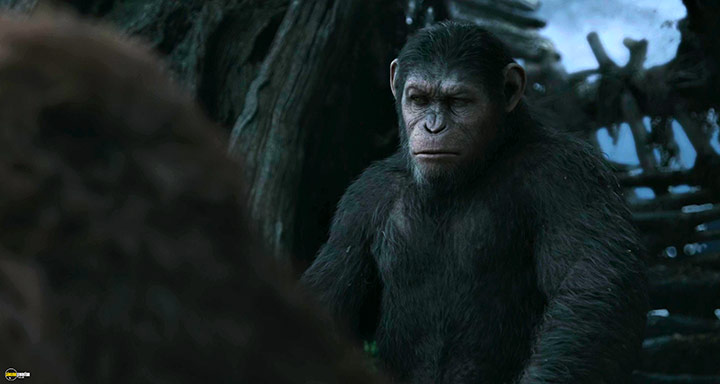 A still #44 from Dawn of the Planet of the Apes (2014)