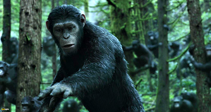 A still #43 from Dawn of the Planet of the Apes (2014)