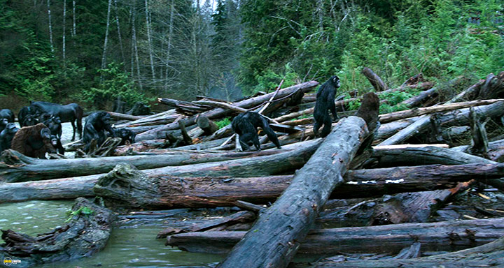 A still #32 from Dawn of the Planet of the Apes (2014)