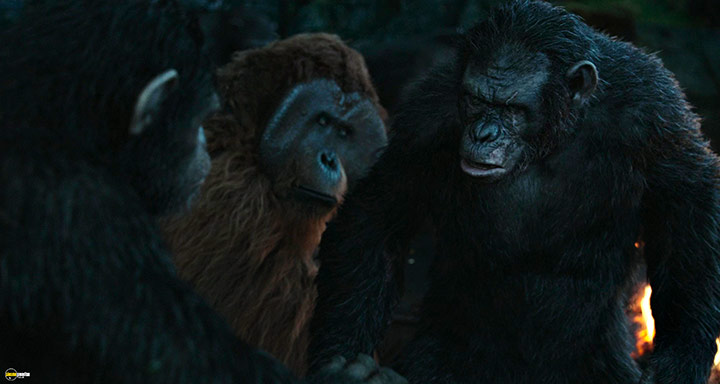 A still #31 from Dawn of the Planet of the Apes (2014)