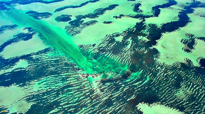 A still #14 from Blue Planet 2 (2017)