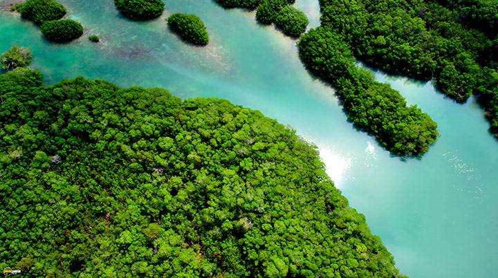 A still #13 from Blue Planet 2 (2017)