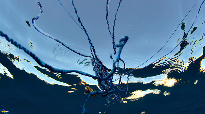 A still #3 from Blue Planet 2 (2017)
