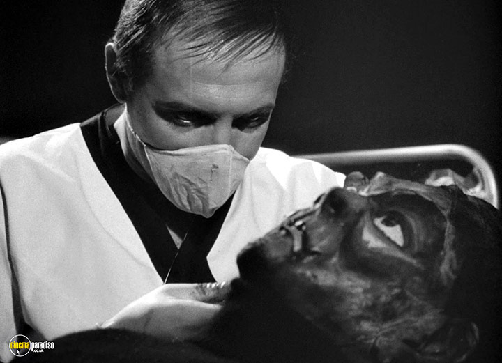A still #41 from The Curious Dr. Humpp (1969)