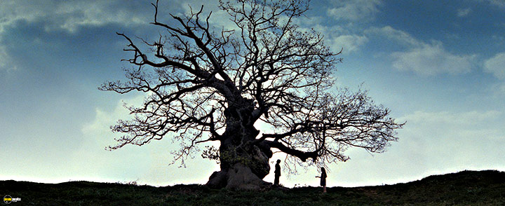A still #65 from Harry Potter and the Deathly Hallows: Part 2 (2011)