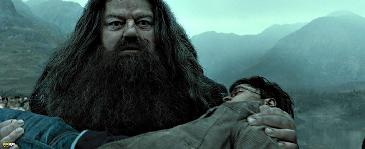 A still #55 from Harry Potter and the Deathly Hallows: Part 2 (2011)