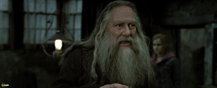 A still #29 from Harry Potter and the Deathly Hallows: Part 2 (2011)