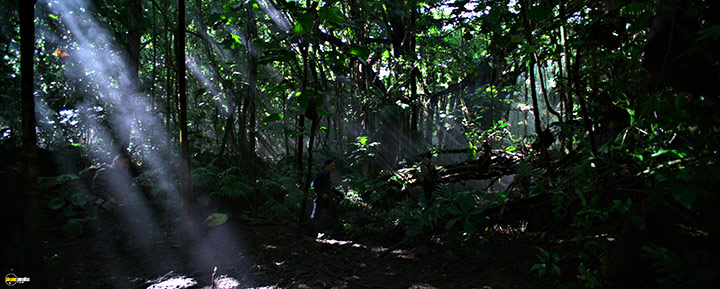 A still #44 from The Predator (2018)