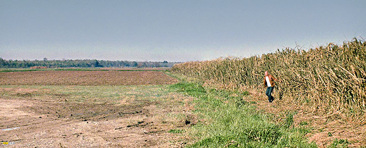 A still #29 from Looper (2012)