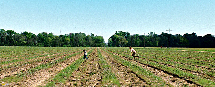 A still #65 from Looper (2012)