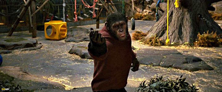 A still #88 from Rise of the Planet of the Apes (2011)