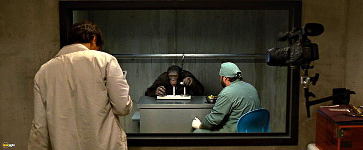 A still #87 from Rise of the Planet of the Apes (2011)