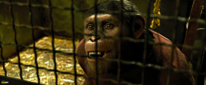 A still #83 from Rise of the Planet of the Apes (2011)
